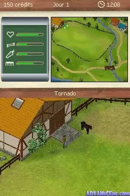 Image n° 3 - screenshots : Real Stories - Best Friends - My Horse